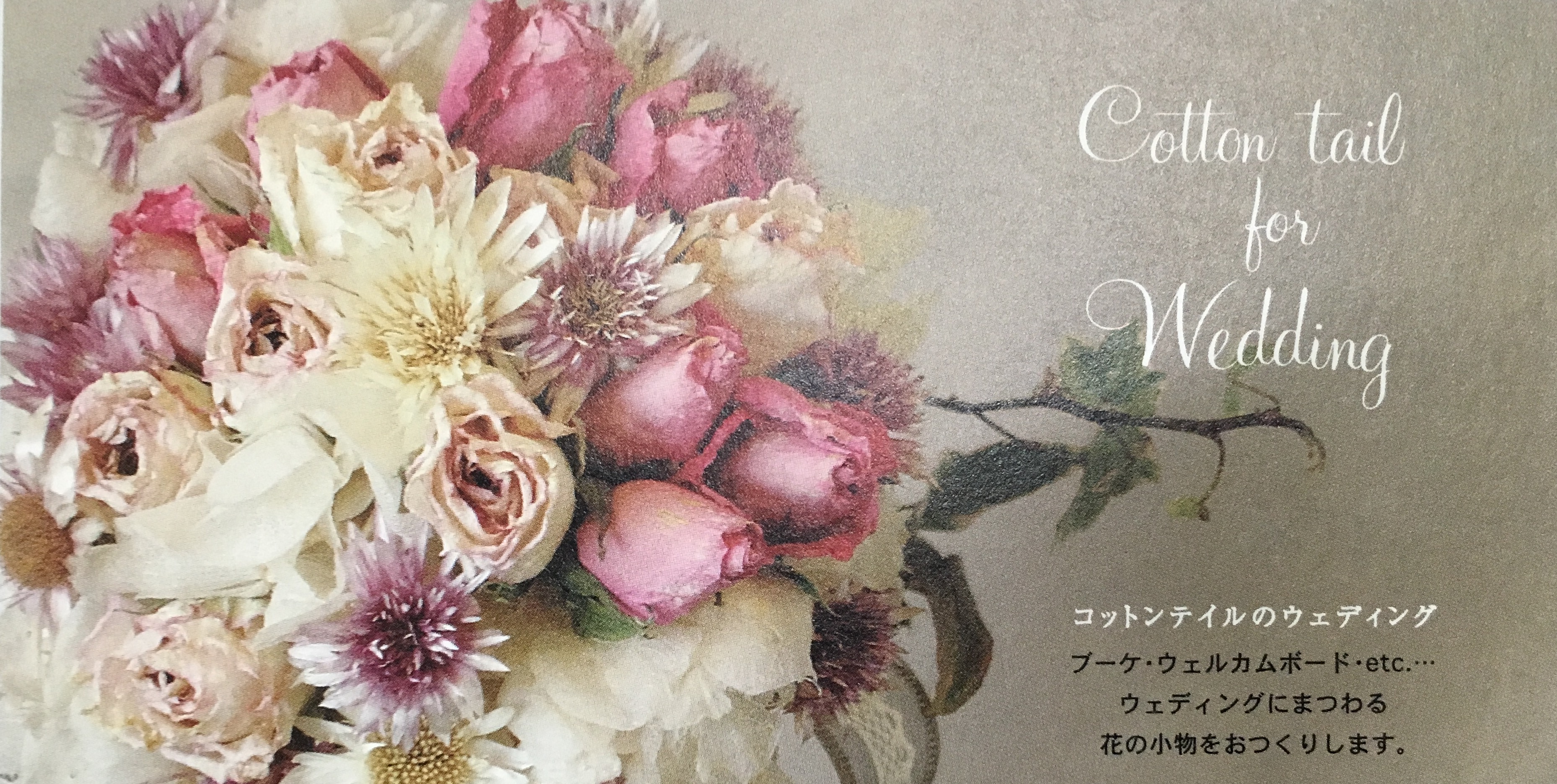 cotton tailさん